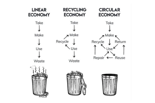 what is circular and linear economy explained in a graphic