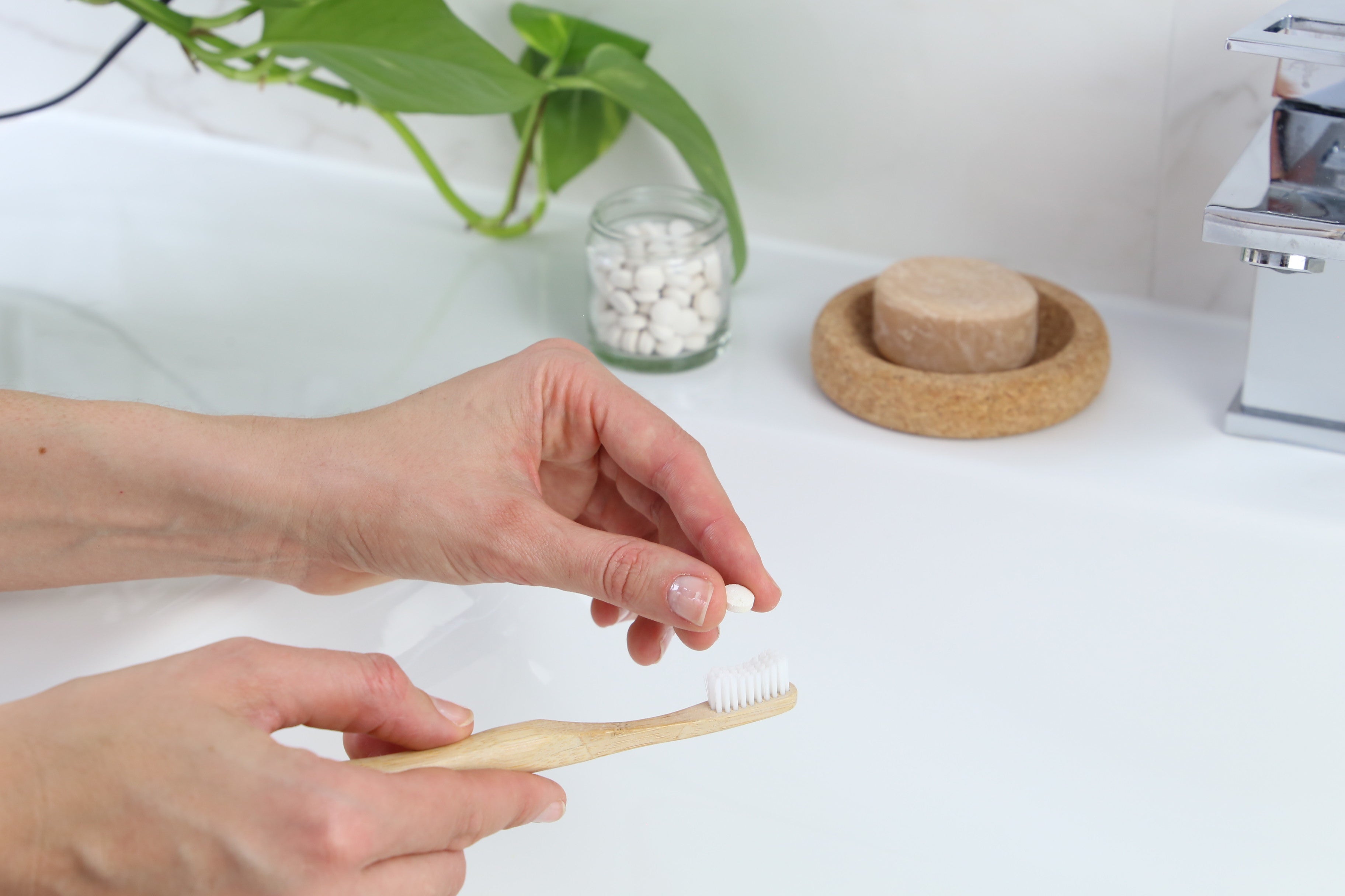 Beewise Eco-Friendly & Plastic-Free Products | Sustainable Living