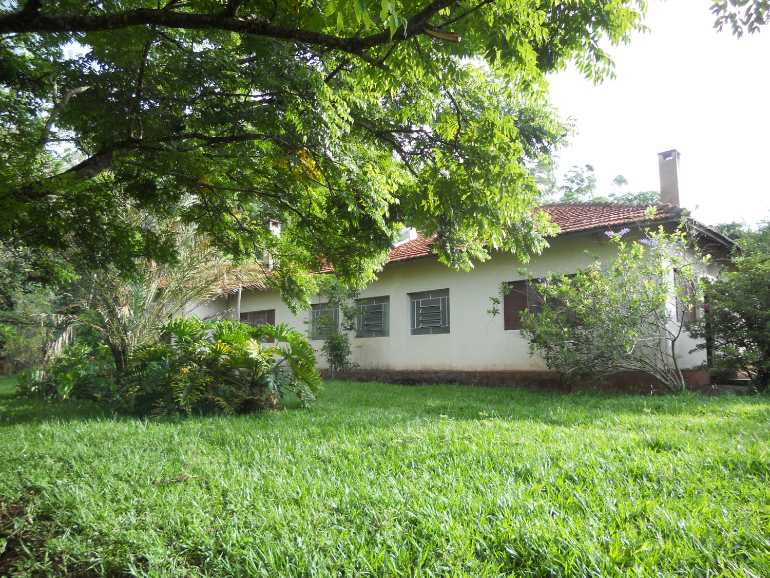 farm of ana maria primavesi in Itai Brazil
