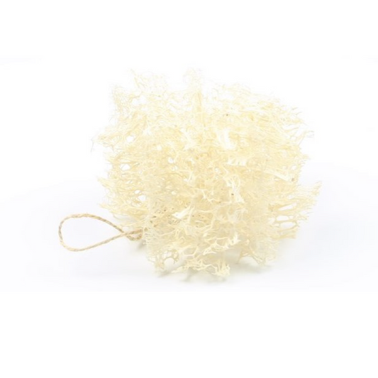 loofah kitchen sponge being showed with a cotton string zero waste