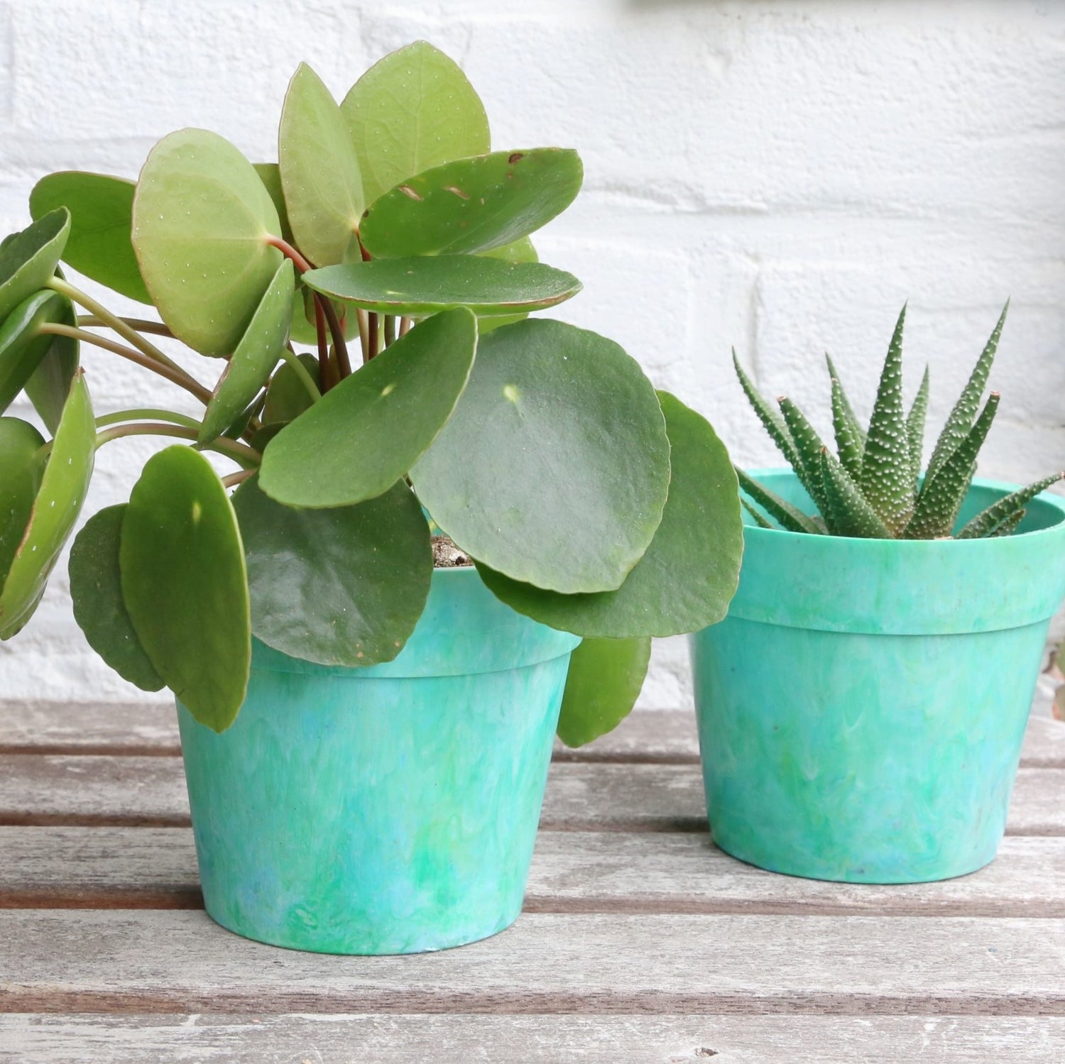 two recycled plastic plant pots in green colour with an indoor plant and a succulent plant