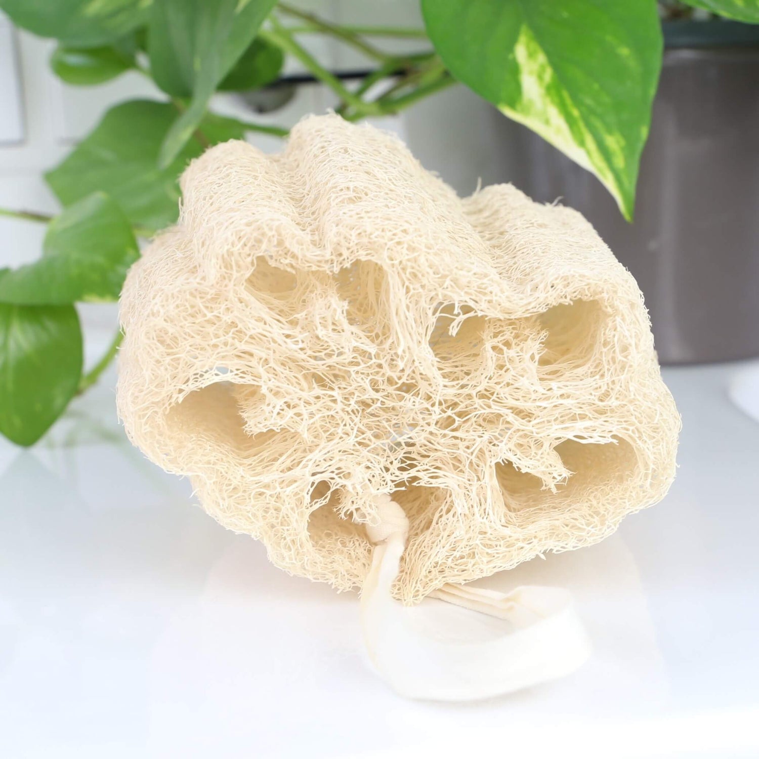 loofah shower sponge zero waste natural loofah from egypt very soft on the bathroom