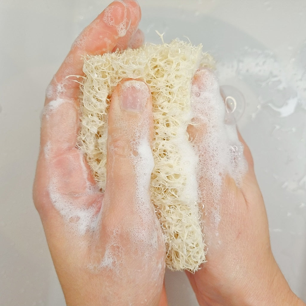 loofah sponge zero waste natural loofah from egypt showing making some bubbles on the hands of an adult