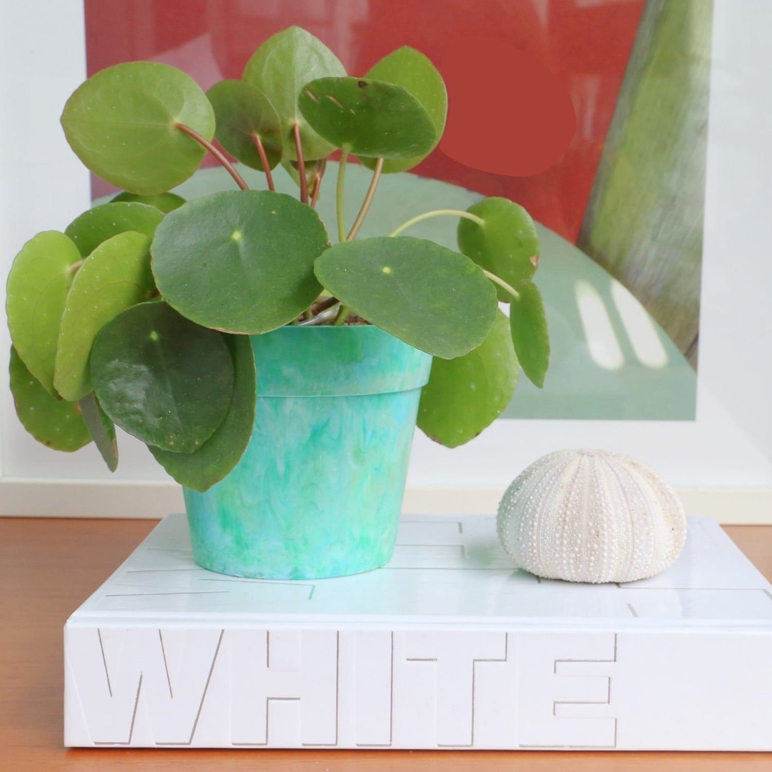 recycled plastic plant pot in green colour with a plant on top of a book