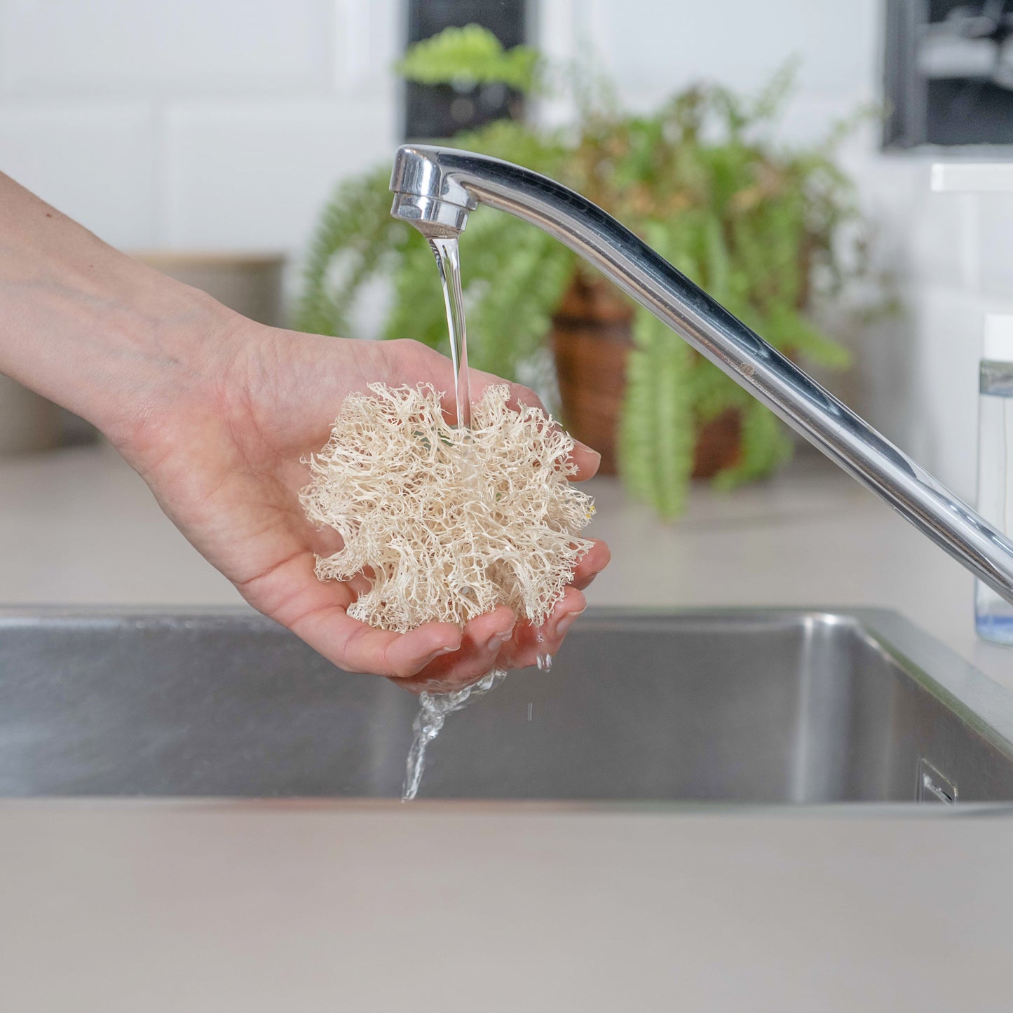 plastic-free loofah kitchen sponge being showed on the tap water